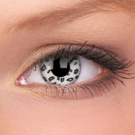 Crazy White Leopard